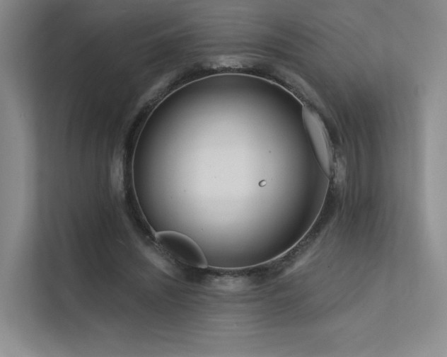 X0000113200444200909101115