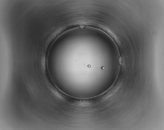 X0000113200445200909101115