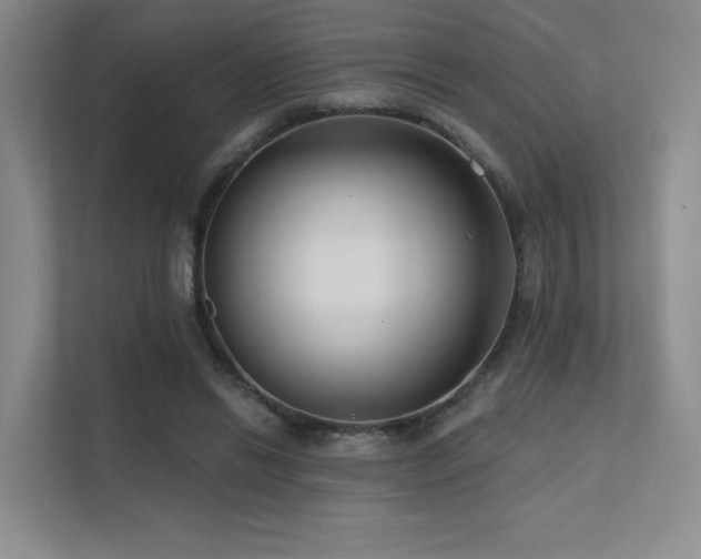 X0000113200446200909101115