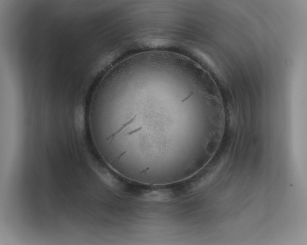 X0000113200447200909101115