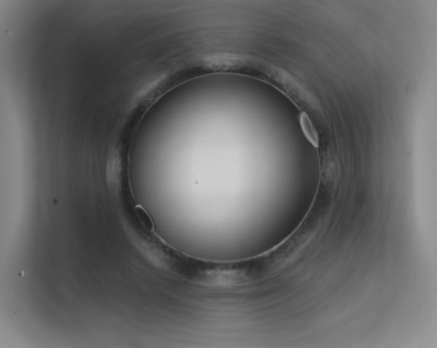 X0000113200448200909101115