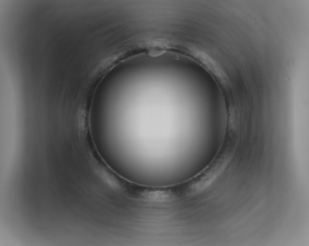 X0000113200449200909101115