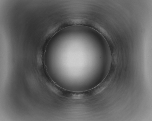 X0000113200450200909101115