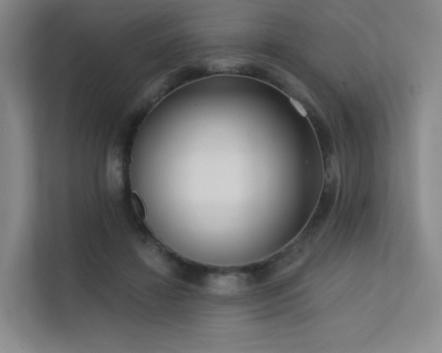 X0000113200452200909101115