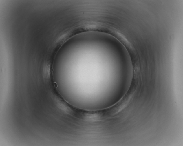 X0000113200454200909101115