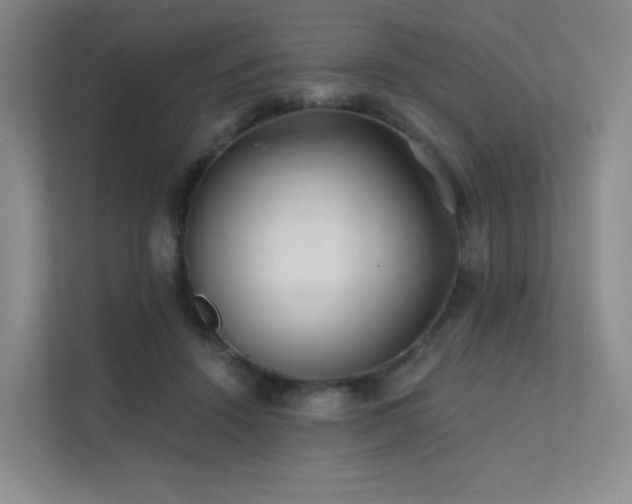 X0000113200456200909101115