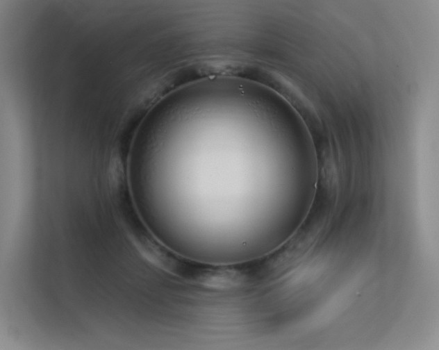 X0000113200459200909101115