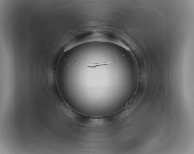 X0000113200469200909101115