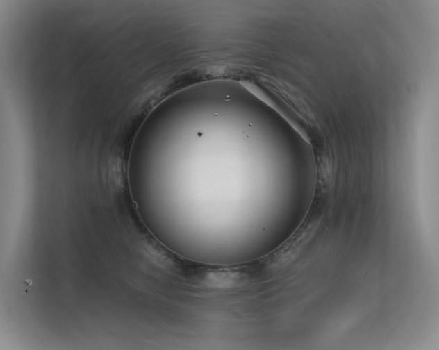 X0000113200470200909101115