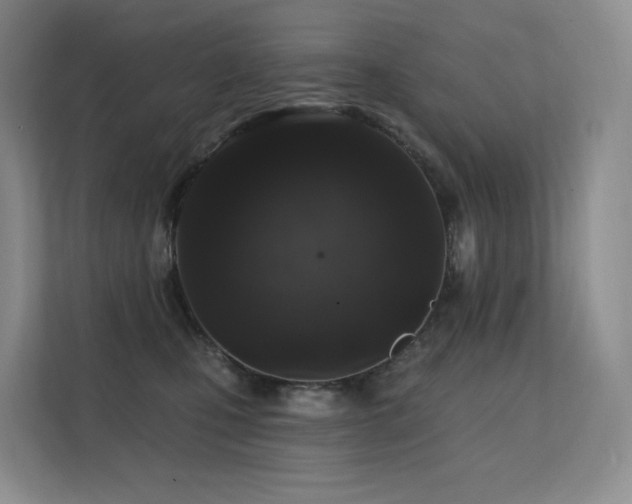 X0000113200471200909101115