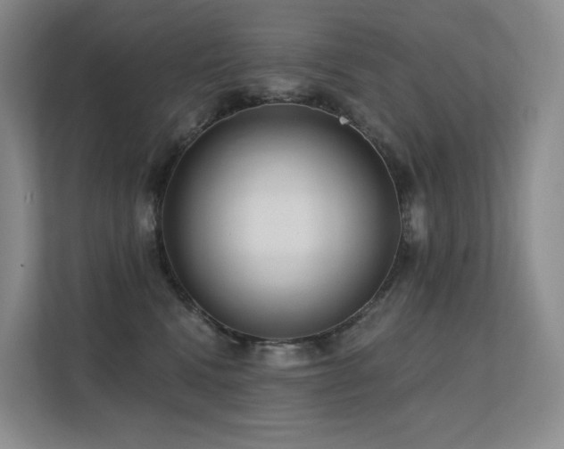 X0000113200472200909101115