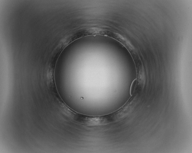 X0000113200473200909101115