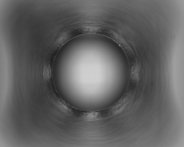 X0000113200474200909101115