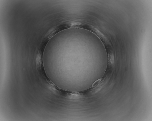 X0000113200475200909101115