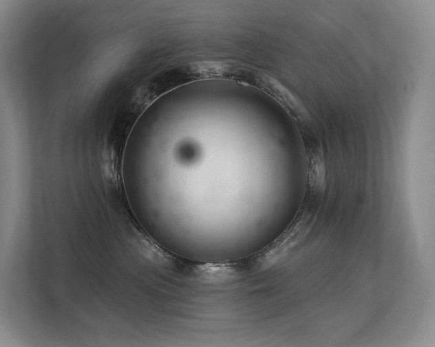 X0000113200477200909101115