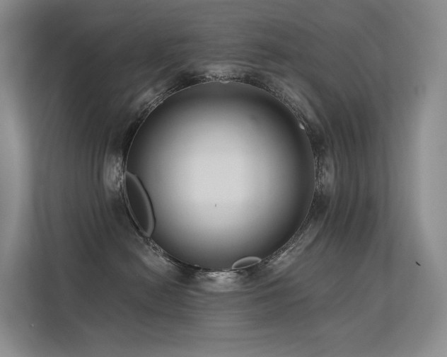 X0000113200478200909101115