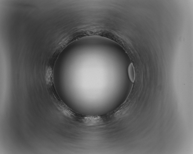 X0000113200480200909101115