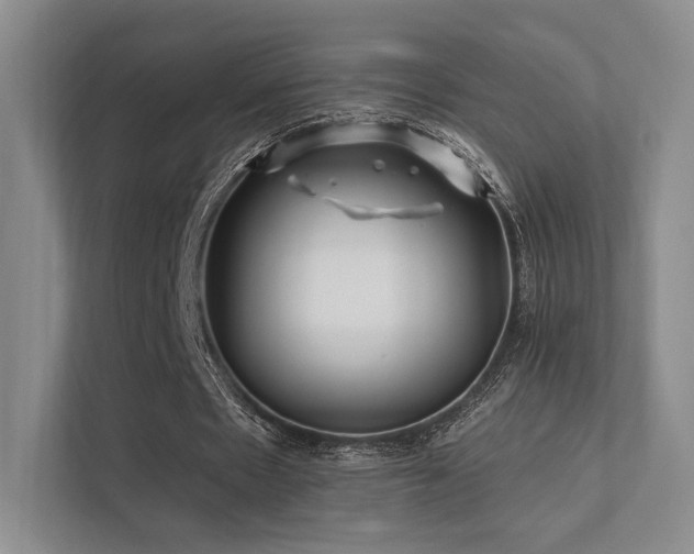 X0000113200481200909101115