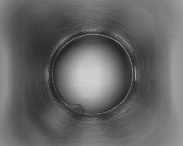 X0000113200483200909101115