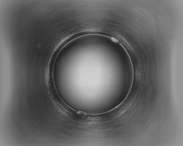 X0000113200484200909101115