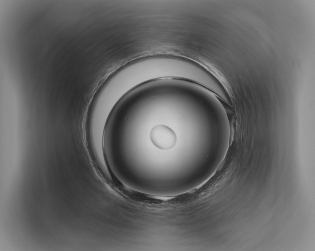 X0000113200485200909101115