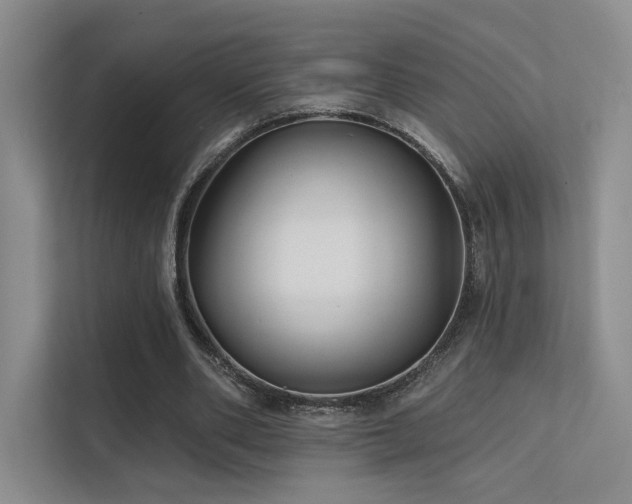 X0000113200486200909101115