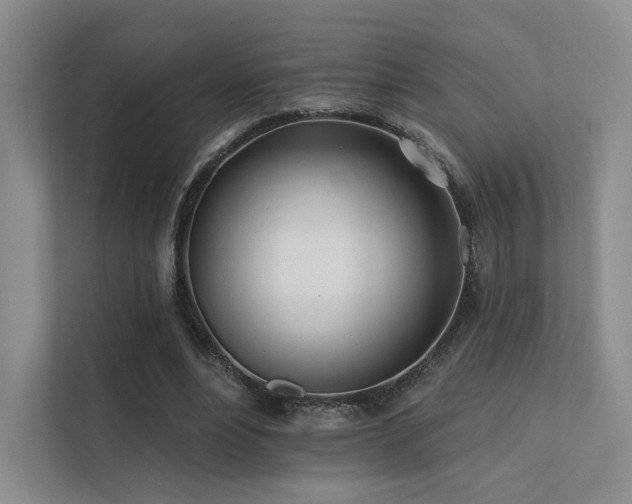 X0000113200488200909101115