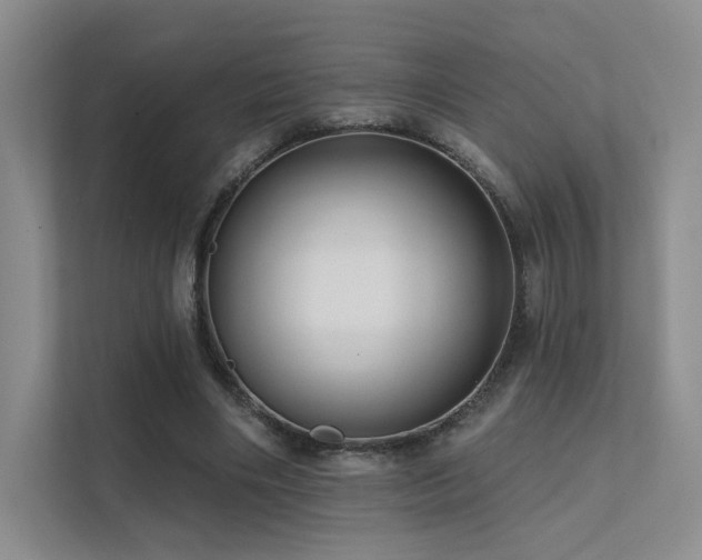 X0000113200490200909101115