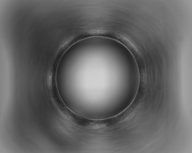 X0000113200491200909101115