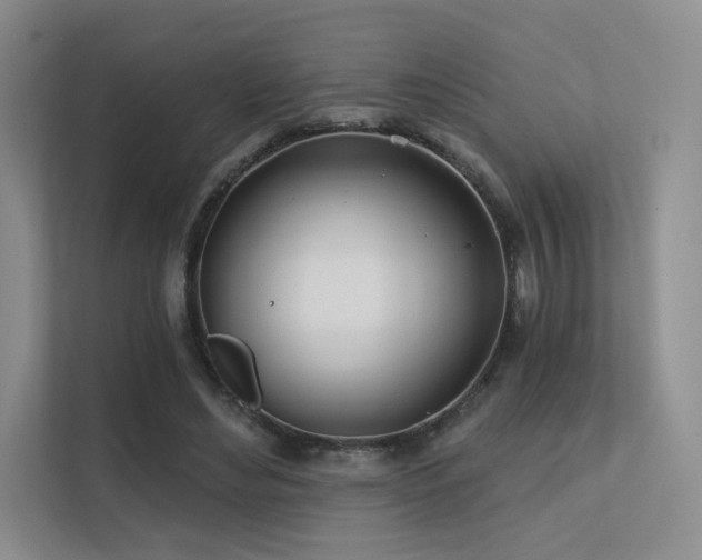 X0000113200492200909101115