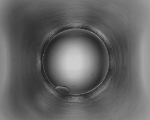 X0000113200493200909101115