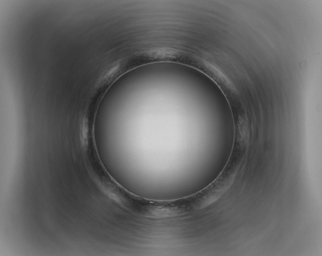 X0000113200494200909101115