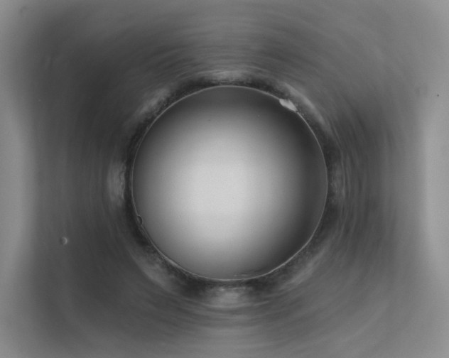 X0000113200495200909101115