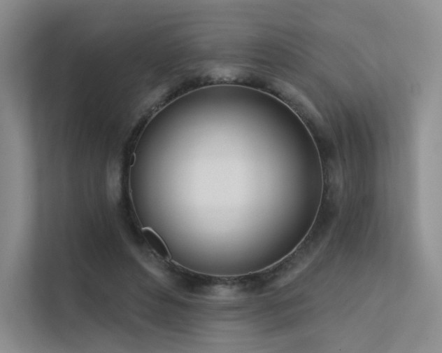 X0000113200496200909101115