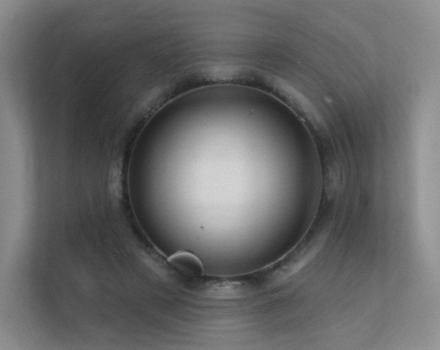 X0000113200497200909101115