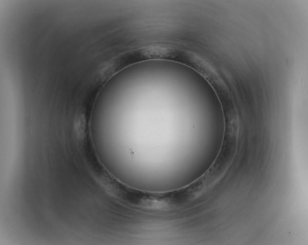 X0000113200498200909101115