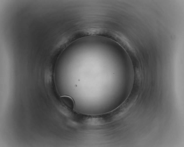 X0000113200499200909101115