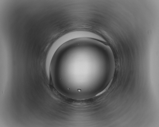 X0000113200500200909101115