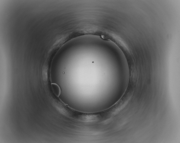 X0000113200501200909101115