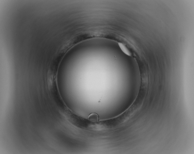 X0000113200503200909101115