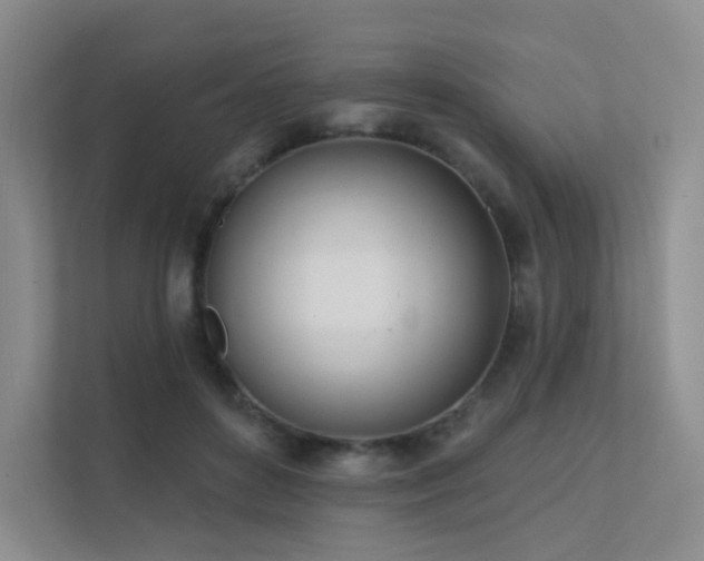 X0000113200504200909101115