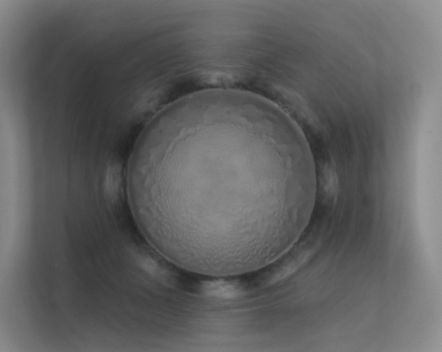 X0000113200511200909101114