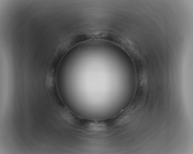 X0000113200515200909101114