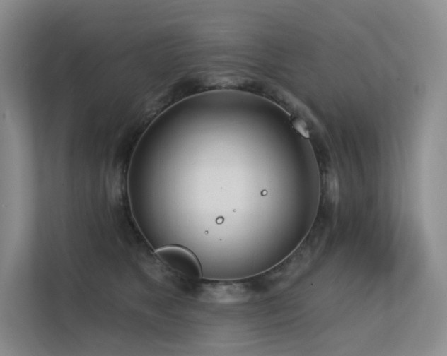 X0000113200517200909101114