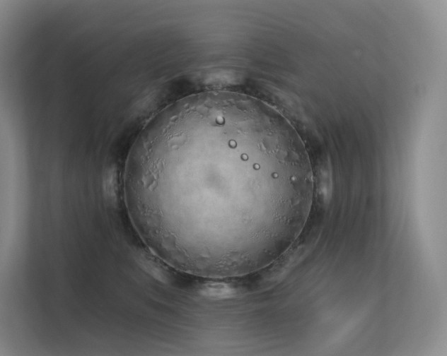 X0000113200519200909101114