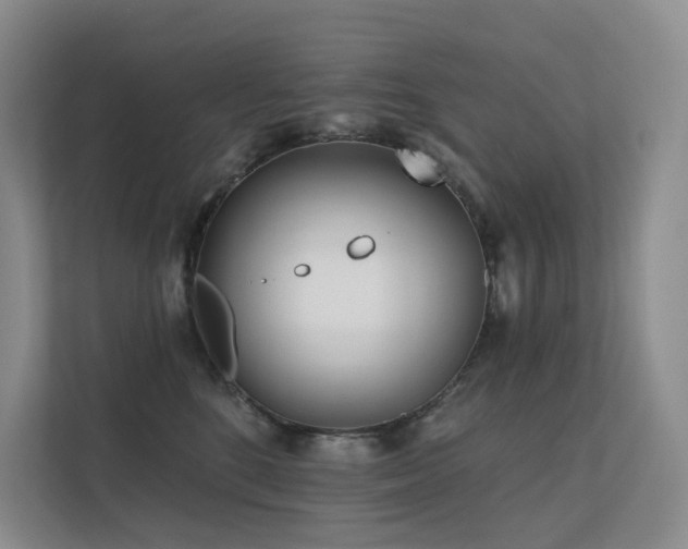 X0000113200520200909101114