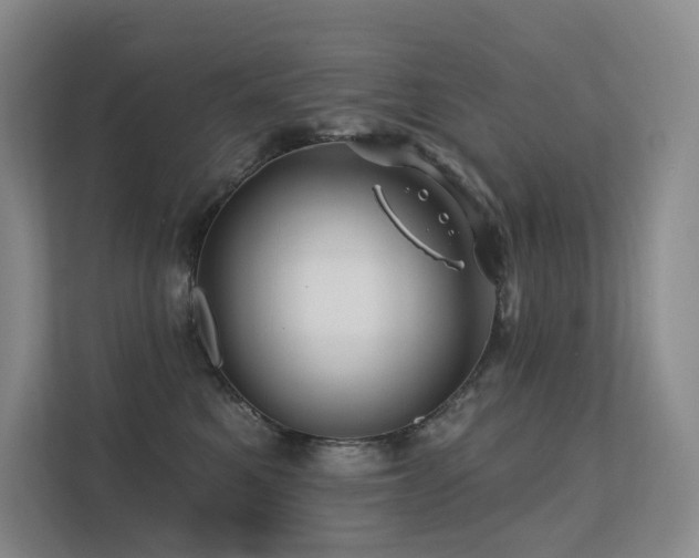 X0000113200521200909101114