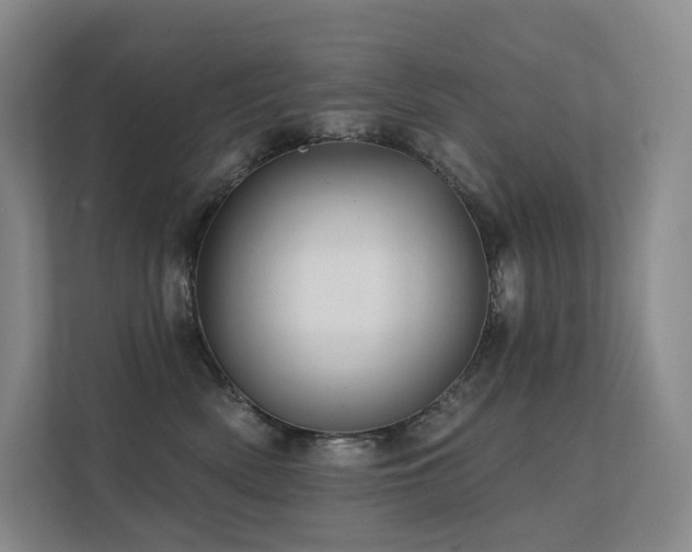 X0000113200522200909101114