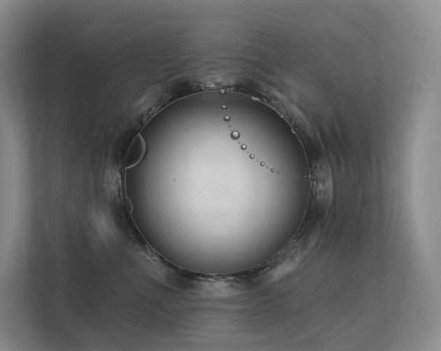 X0000113200523200909101114