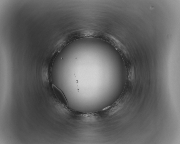 X0000113200524200909101114